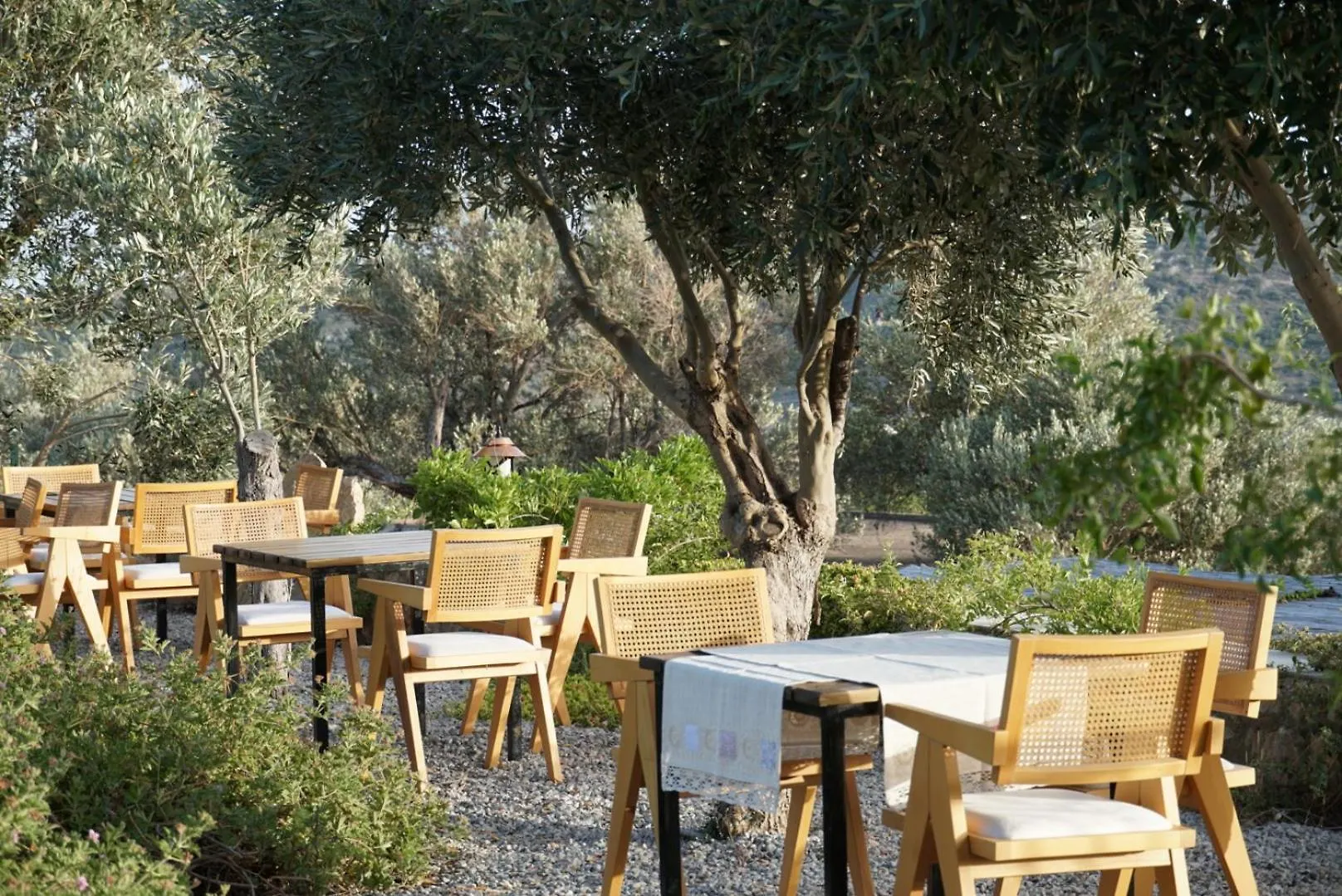 Tulu Datca Yaka  Alojamento de Acomodação e Pequeno-almoço Yaka (Mugla)